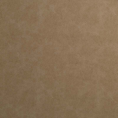 Robert Allen Fabrics Fabrics -T REX | CONCRETE