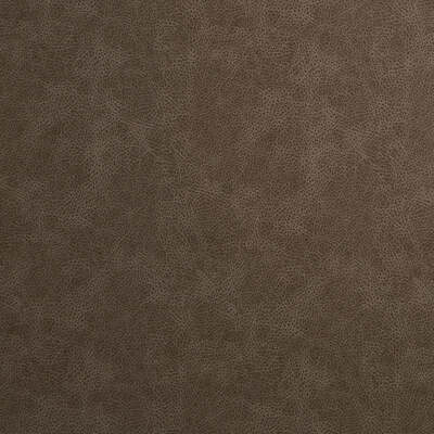 Robert Allen Fabrics Fabrics -T REX | ESPRESSO