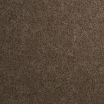 Robert Allen Fabrics Fabrics -T REX | ESPRESSO