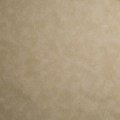 Robert Allen Fabrics Fabrics -TUMBLEWEED | NATURAL