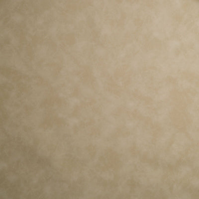 Robert Allen Fabrics Fabrics -TUMBLEWEED | NATURAL