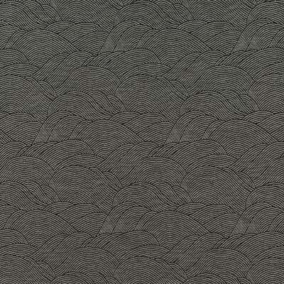 Robert Allen Fabrics Fabrics -CALDERA | ONYX