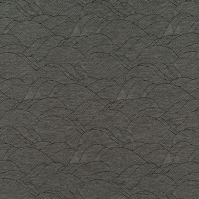 Robert Allen Fabrics Fabrics -CALDERA | ONYX