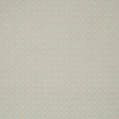Robert Allen Fabrics Fabrics -THAMANI | PATINA