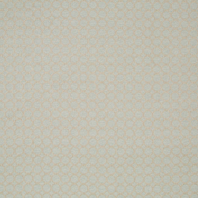 Robert Allen Fabrics Fabrics -THAMANI | PATINA