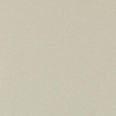 Duralee Fabrics -DF15771 | 86-OYSTER