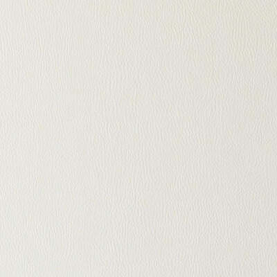 Duralee Fabrics -DF15791 | 86-OYSTER