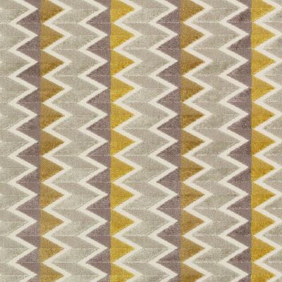 Bailey & Griffin Fabrics Fabrics -BV16153 | 551-SAFFRON