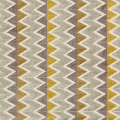 Bailey & Griffin Fabrics Fabrics -BV16153 | 551-SAFFRON