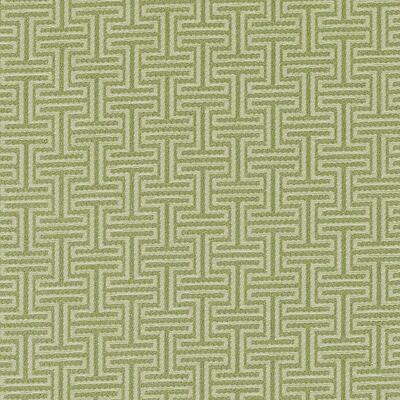 Bailey & Griffin Fabrics Fabrics -BU15840 | 399-PISTACHIO
