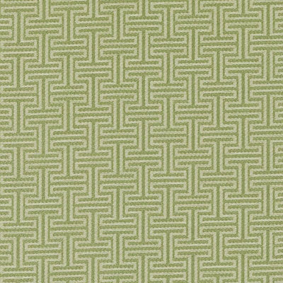 Bailey & Griffin Fabrics Fabrics -BU15840 | 399-PISTACHIO