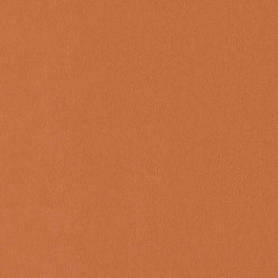 Duralee Fabrics -DF15775 | 36-ORANGE
