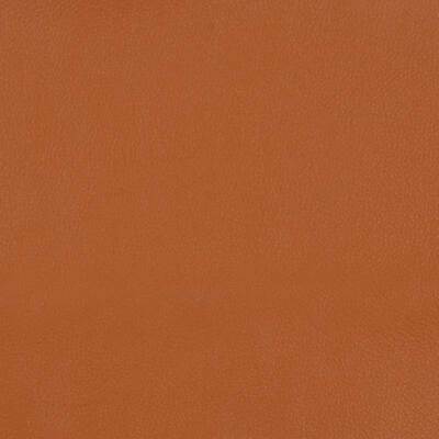 Duralee Fabrics -15523 | 115-CLAY