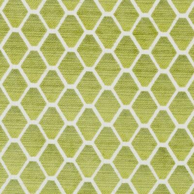 Bailey & Griffin Fabrics Fabrics -190238H | 554-KIWI