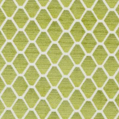 Bailey & Griffin Fabrics Fabrics -190238H | 554-KIWI