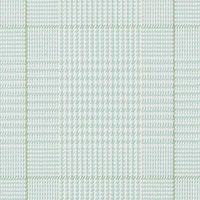 Bailey & Griffin Fabrics Fabrics -190236H | 601-AQUA/GREEN