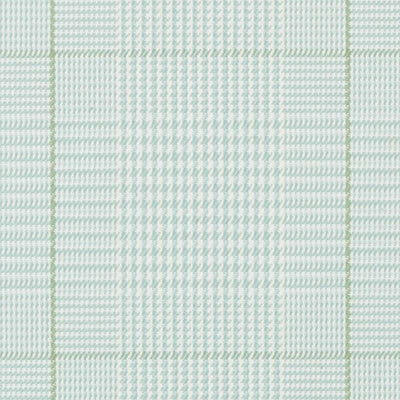 Bailey & Griffin Fabrics Fabrics -190236H | 601-AQUA/GREEN