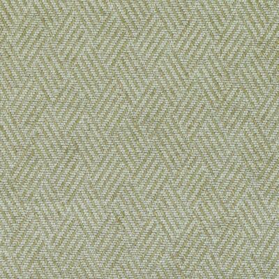 Bailey & Griffin Fabrics Fabrics -Bu16148 | 24-Celadon