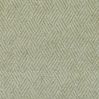 Bailey & Griffin Fabrics Fabrics -Bu16148 | 24-Celadon