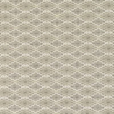 Bailey & Griffin Fabrics Fabrics -BU16155 | 174-GRAPHITE
