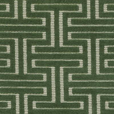 Bailey & Griffin Fabrics Fabrics -BU15837 | 341-IVY