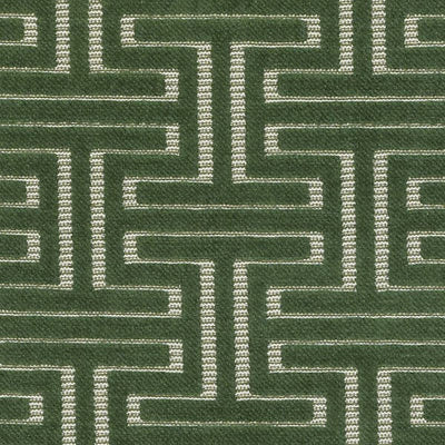 Bailey & Griffin Fabrics Fabrics -BU15837 | 341-IVY