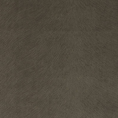 Duralee Fabrics -Dv15938 | 319-Chinchilla
