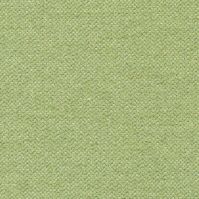 Duralee Fabrics -DW16016 | 554-KIWI