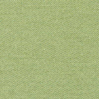 Duralee Fabrics -DW16016 | 554-KIWI