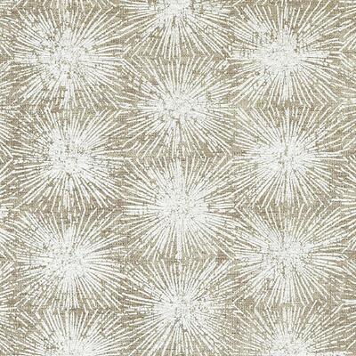 Duralee Fabrics -DW16004 | 587-LATTE