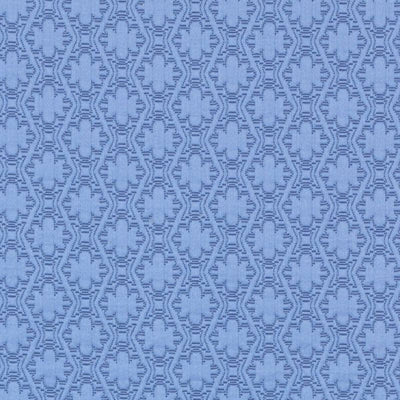 Bailey & Griffin Fabrics Fabrics -190240H | 146-DENIM