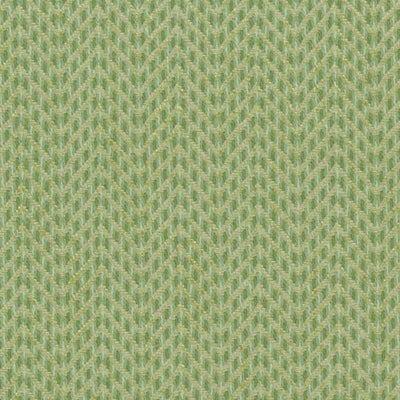 Bailey & Griffin Fabrics Fabrics -190243H | 554-KIWI