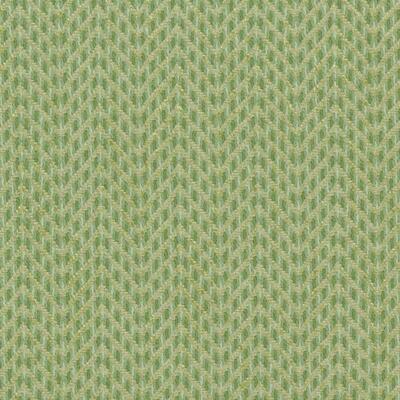 Bailey & Griffin Fabrics Fabrics -190243H | 554-KIWI