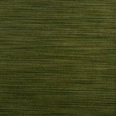 Duralee Fabrics -32628 | 321-PINE