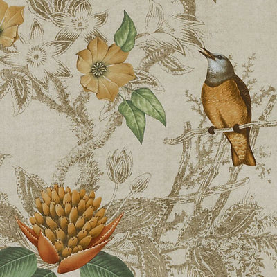 Bailey & Griffin Fabrics Fabrics -BE42518 | 580-CREME/GOLD