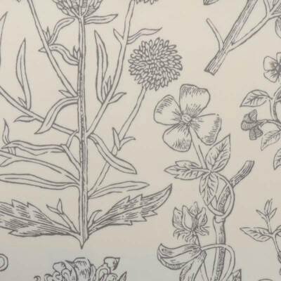Duralee Fabrics -21069 | 216-PUTTY