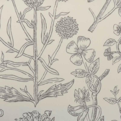 Duralee Fabrics -21069 | 216-PUTTY