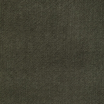 KRAVET FABRICS-35189.311.0