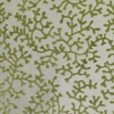 Duralee Fabrics -DI61599 | 212-APPLE GREEN