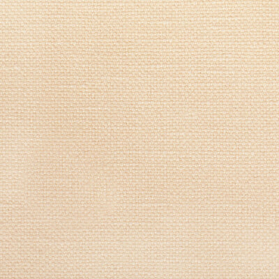 KRAVET FABRICS-36282.1111.0