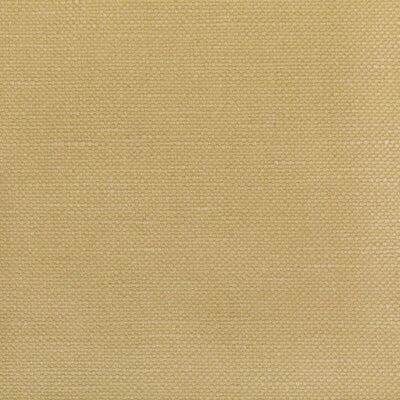 KRAVET FABRICS-36282.1416.0