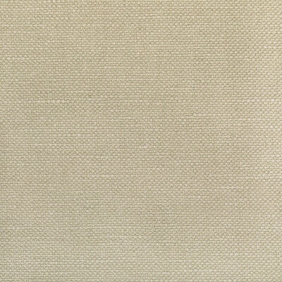 KRAVET FABRICS-36282.1611.0