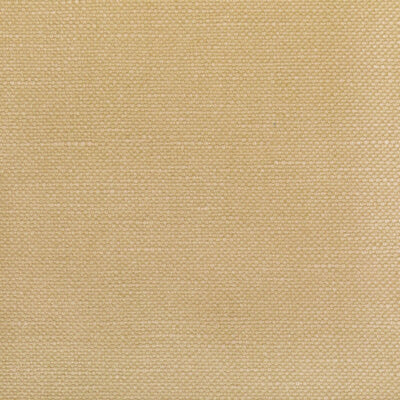 KRAVET FABRICS-36282.1614.0