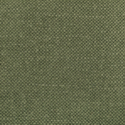 KRAVET FABRICS-36282.323.0