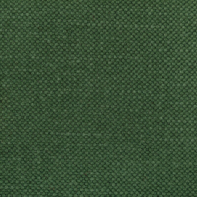 KRAVET FABRICS-36282.350.0