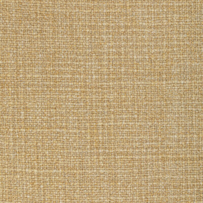 KRAVET FABRICS-36383.416.0