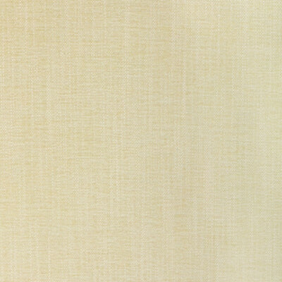 KRAVET FABRICS-36650.1111.0