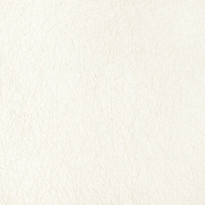 KRAVET FABRICS-36813.1.0