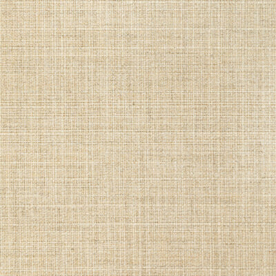 KRAVET FABRICS-36821.16.0