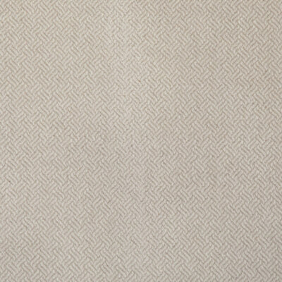 KRAVET FABRICS-36836.1116.0